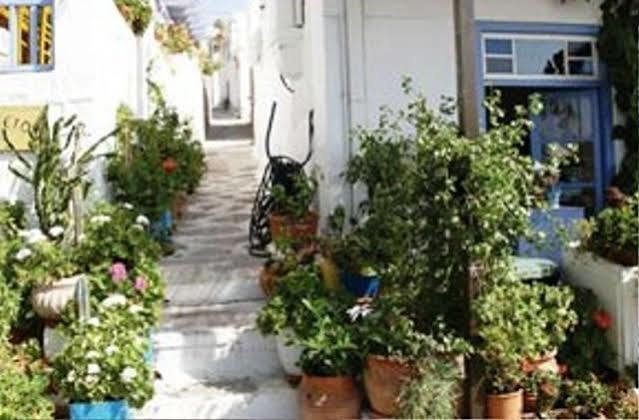 Venetia Perdika (Aegina)